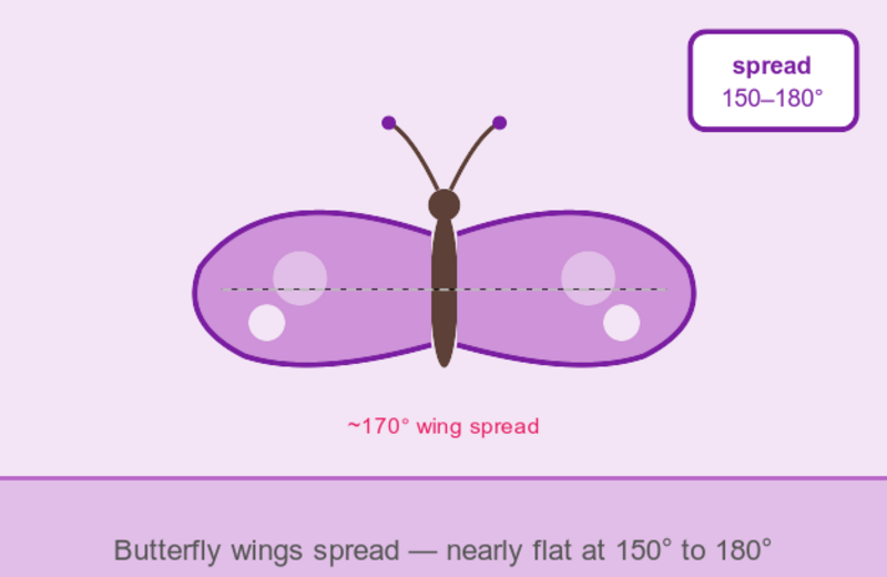 Illustration of a butterfly with wings spread