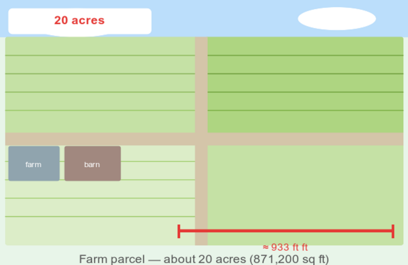 Illustration of a 20-acre farm parcel