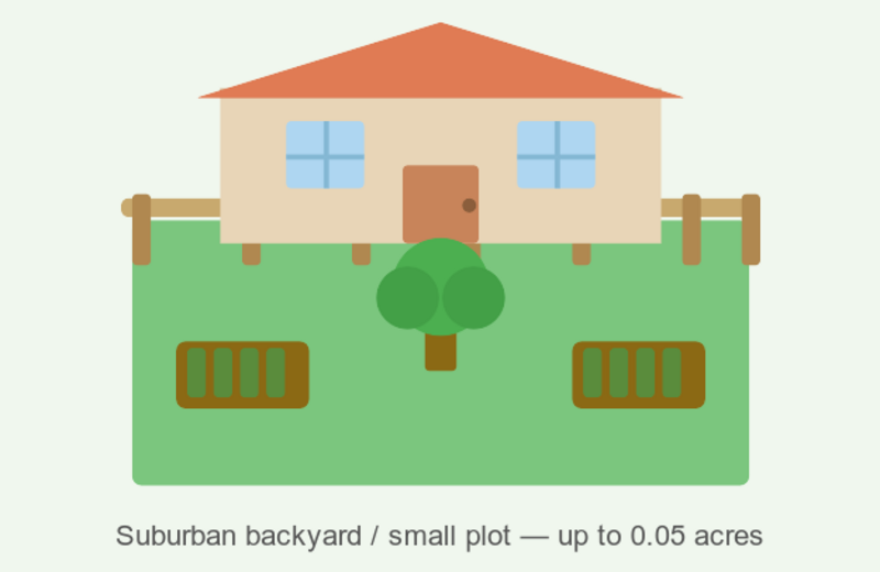 Illustration of a large backyard or garden
