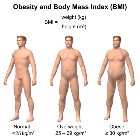 BMI Chart showing body mass index ranges from underweight to obese with height and weight correlations