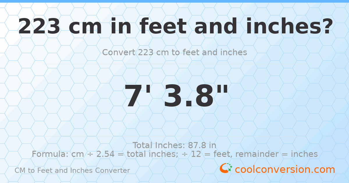 223 cm to feet and inches — 223 cm = 7'3.8"
