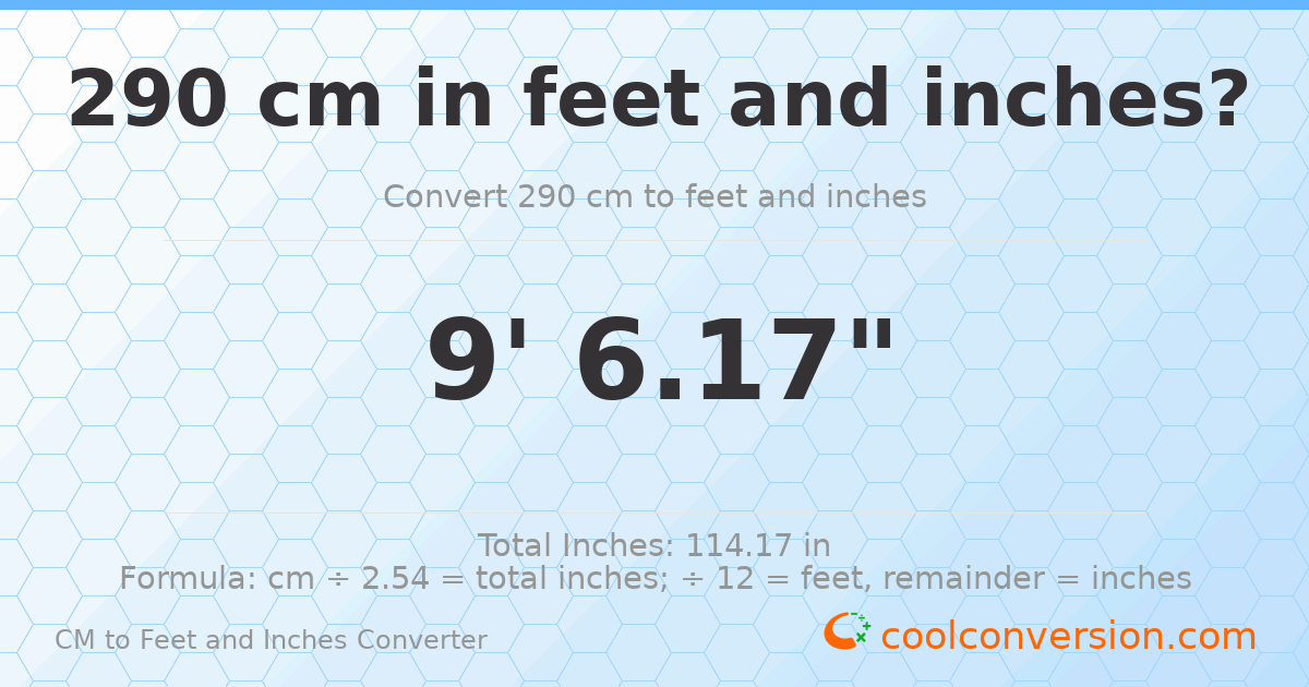 290 cm to feet and inches — 290 cm = 9'6.17"