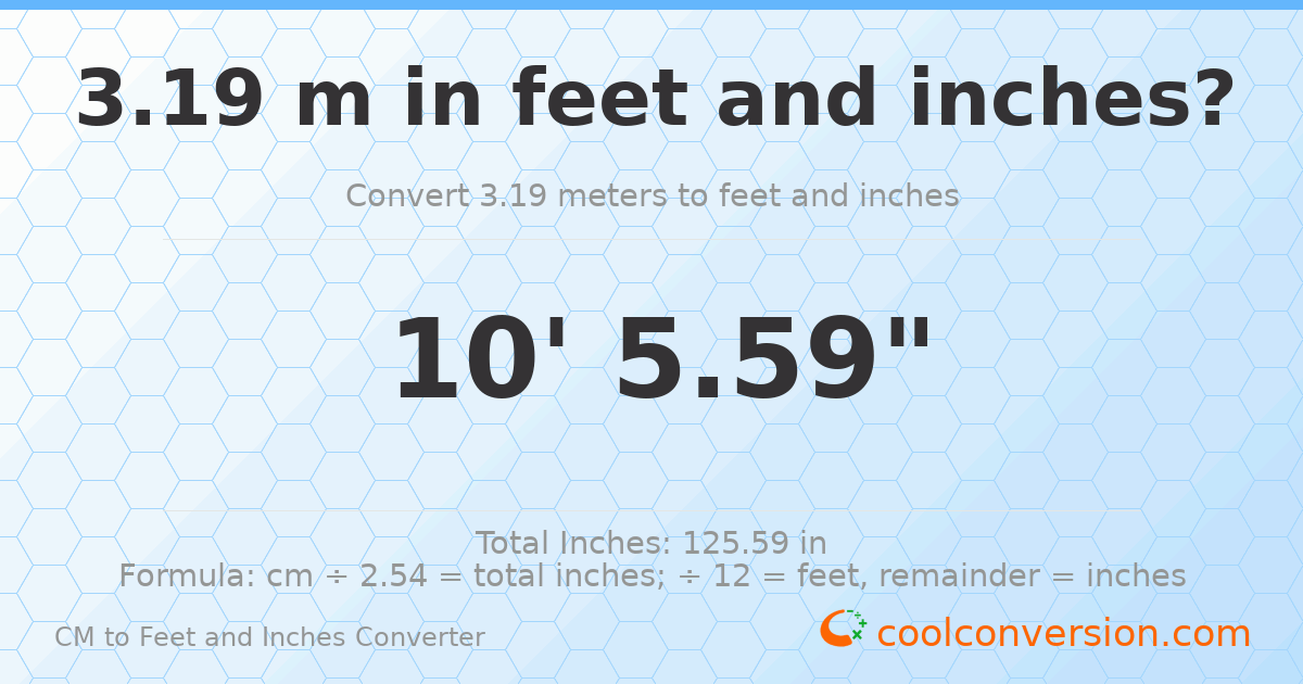 3.19 m to feet and inches — 3.19 m = 10'5.59"
