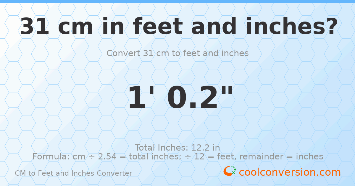 31 cm to feet and inches — 31 cm = 1'0.2"