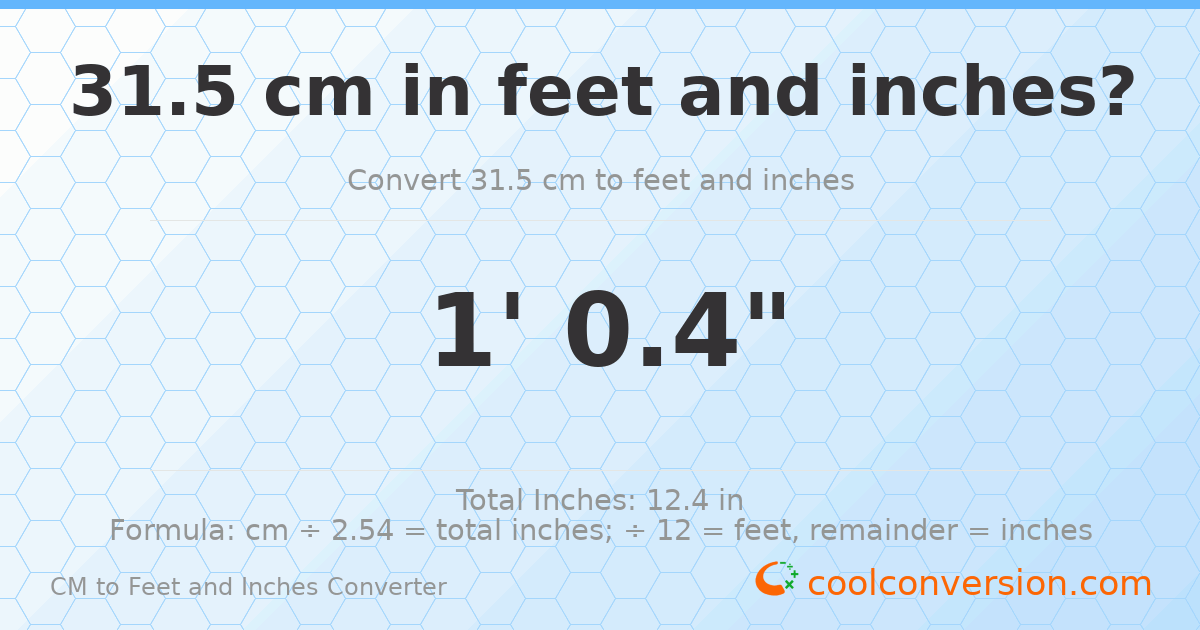 31.5 cm to feet and inches — 31.5 cm = 1'0.4"