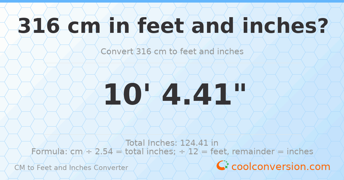 316 cm to feet and inches — 316 cm = 10'4.41"