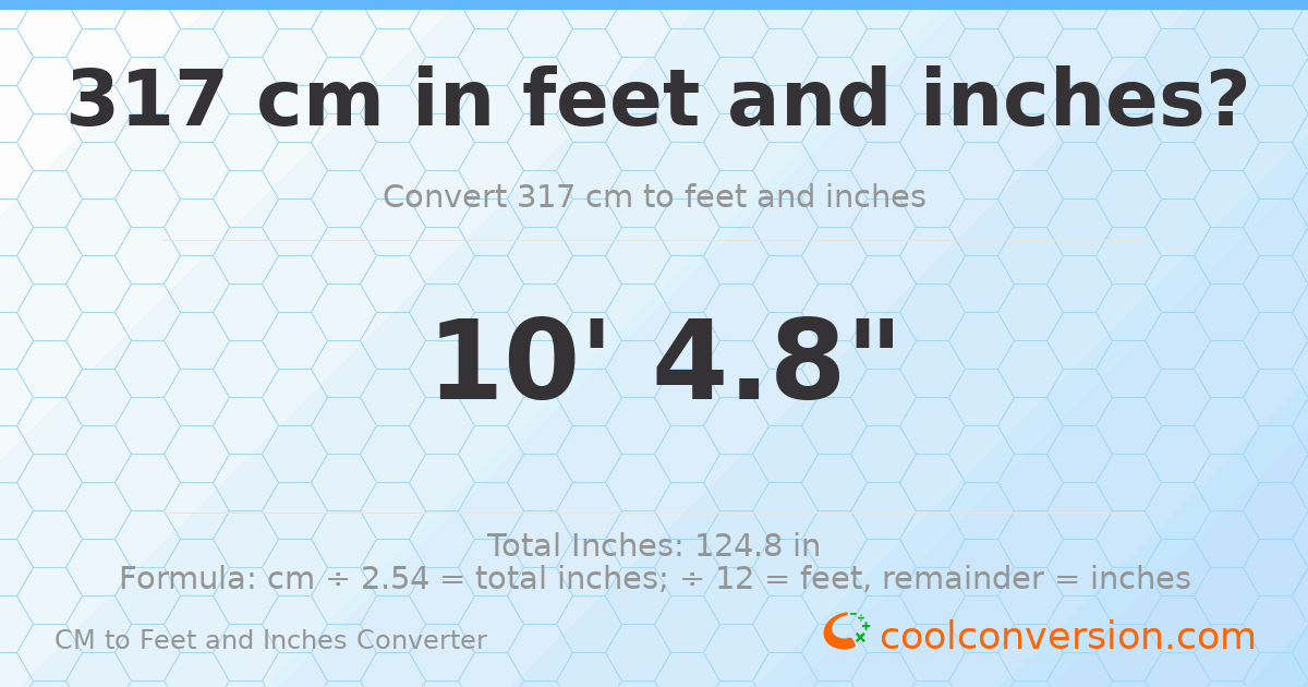 317 cm to feet and inches — 317 cm = 10'4.8"
