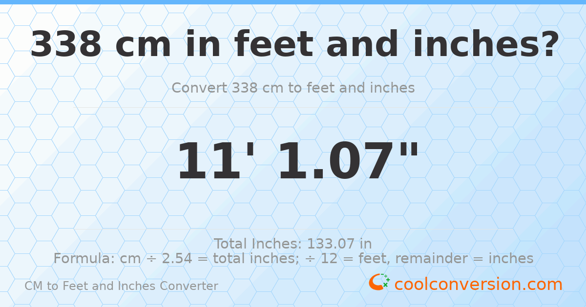 338 cm to feet and inches — 338 cm = 11'1.07"