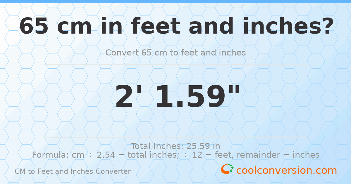 65 cm to feet and inches — 65 cm = 2'1.59"