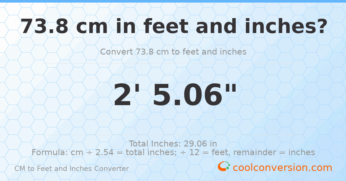 73.8 cm to feet and inches — 73.8 cm = 2'5.06"