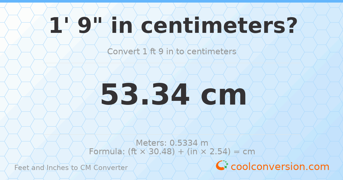 1' 9" to cm — 53.3 cm