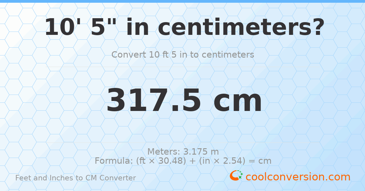 10' 5" to cm — 317.5 cm