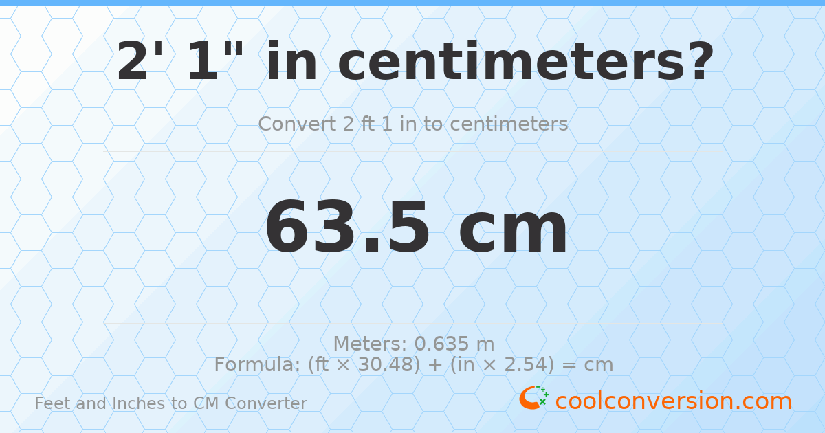 2' 1" to cm — 63.5 cm