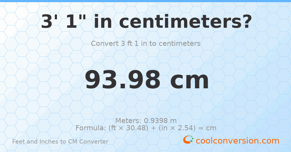 3' 1" to cm — 94 cm