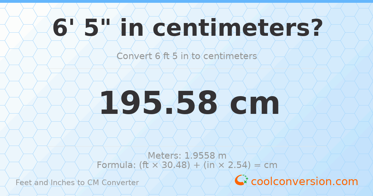6' 5" to cm — 195.6 cm