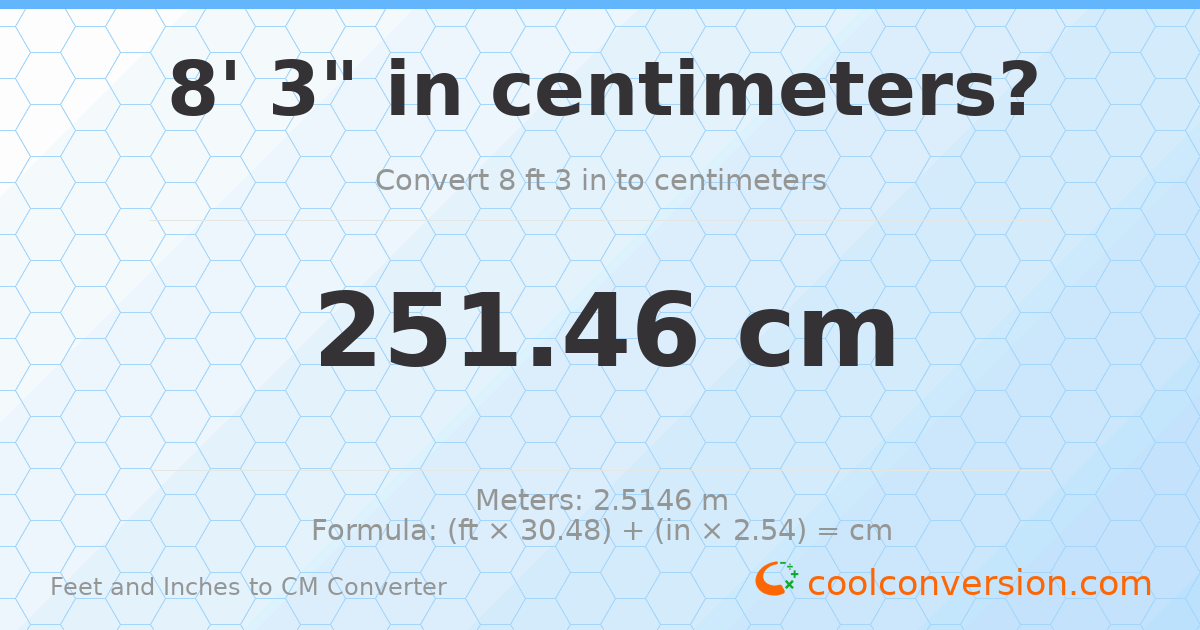 8' 3" to cm — 251.5 cm