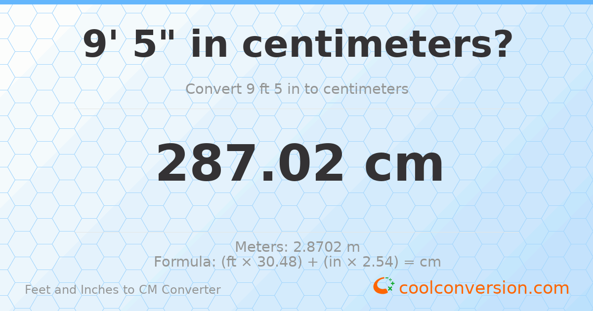 9' 5" to cm — 287 cm