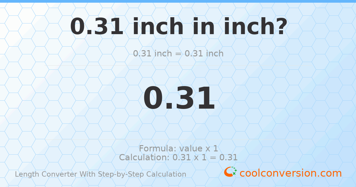 0.31 inches = 0.31 inches