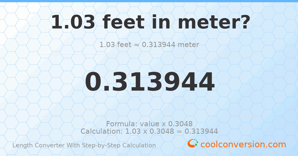 1.03 feet = 0.313944 meters