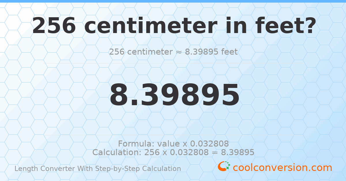 256 centimeters = 8.39895 feet