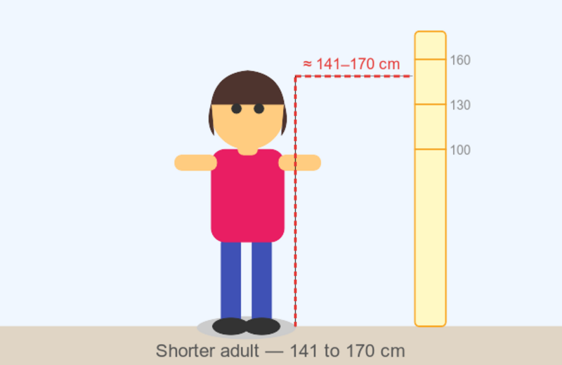 Comparable to the height of a shorter adult