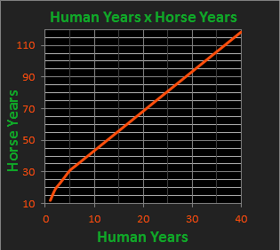 Graph of horse age versus human age