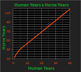 Horse Years To Human Years Chart