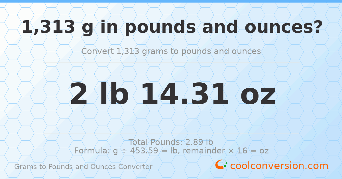 1313 g to lb and oz — 1313 g = 2 lb 14.31 oz
