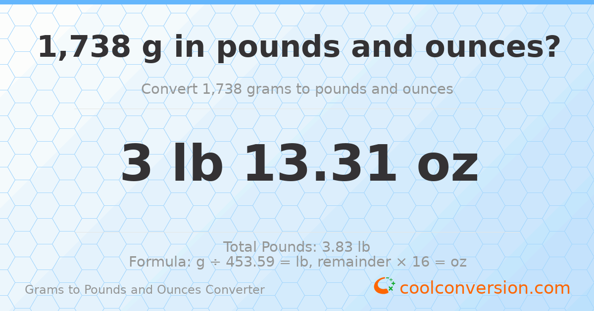 1738 g to lb and oz — 1738 g = 3 lb 13.31 oz