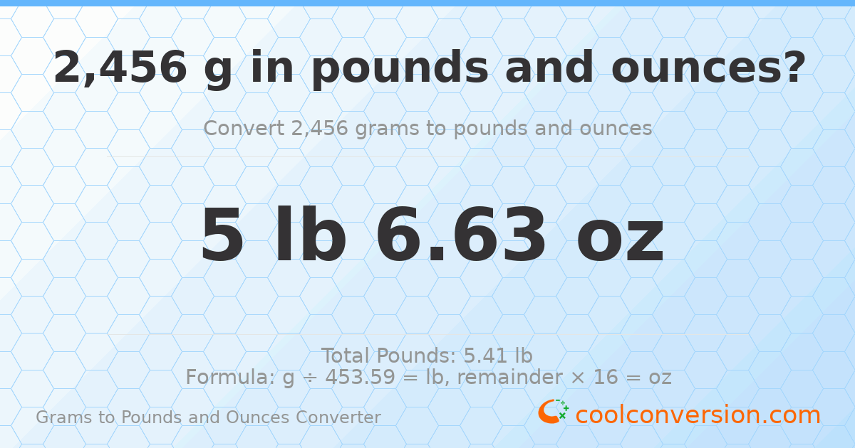 2456 g to lb and oz — 2456 g = 5 lb 6.63 oz