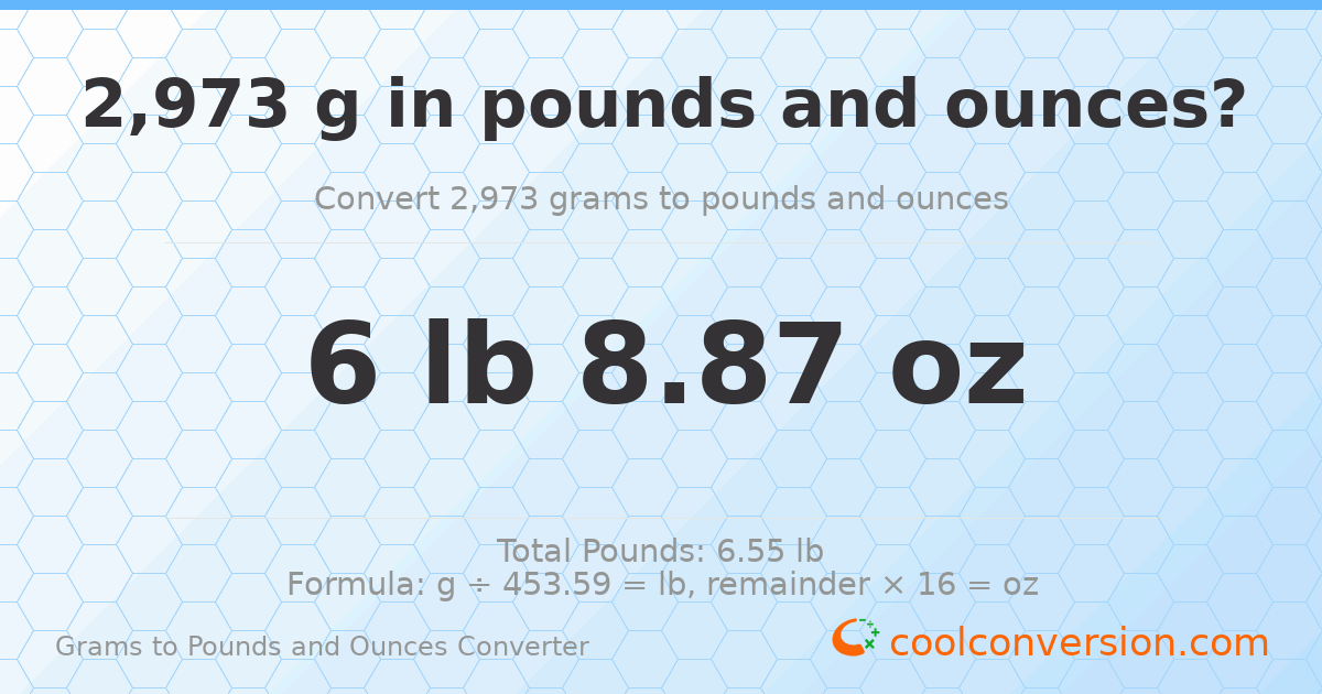 2973 g to lb and oz — 2973 g = 6 lb 8.87 oz