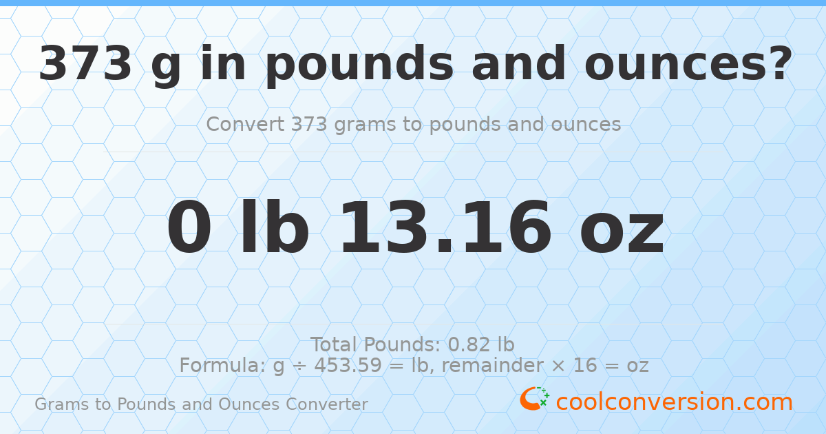 373 g to lb and oz — 373 g = 0 lb 13.16 oz