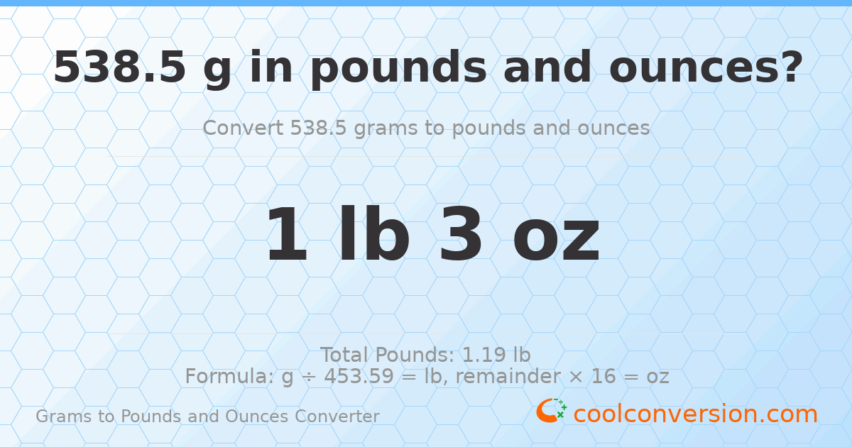538.5 g to lb and oz — 538.5 g = 1 lb 3 oz