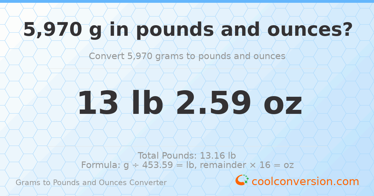 5970 g to lb and oz — 5970 g = 13 lb 2.59 oz