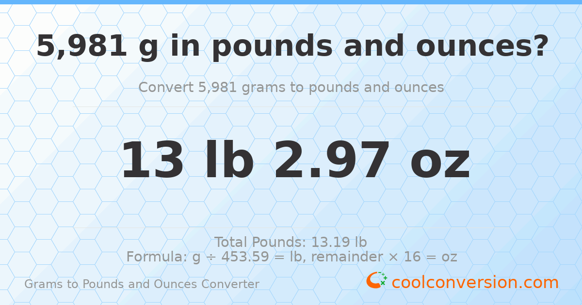 5981 g to lb and oz — 5981 g = 13 lb 2.97 oz