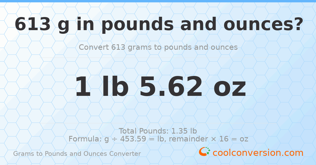 613 g to lb and oz — 613 g = 1 lb 5.62 oz