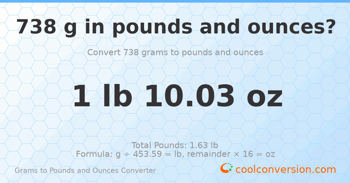 738 g to lb and oz — 738 g = 1 lb 10.03 oz