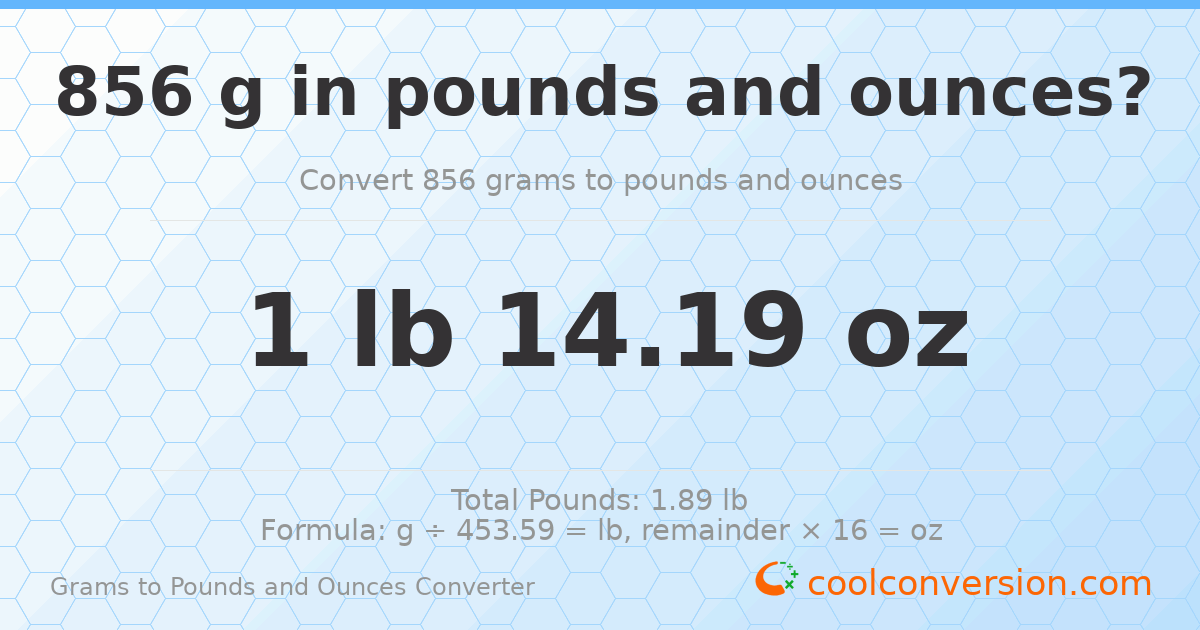 856 g to lb and oz — 856 g = 1 lb 14.19 oz