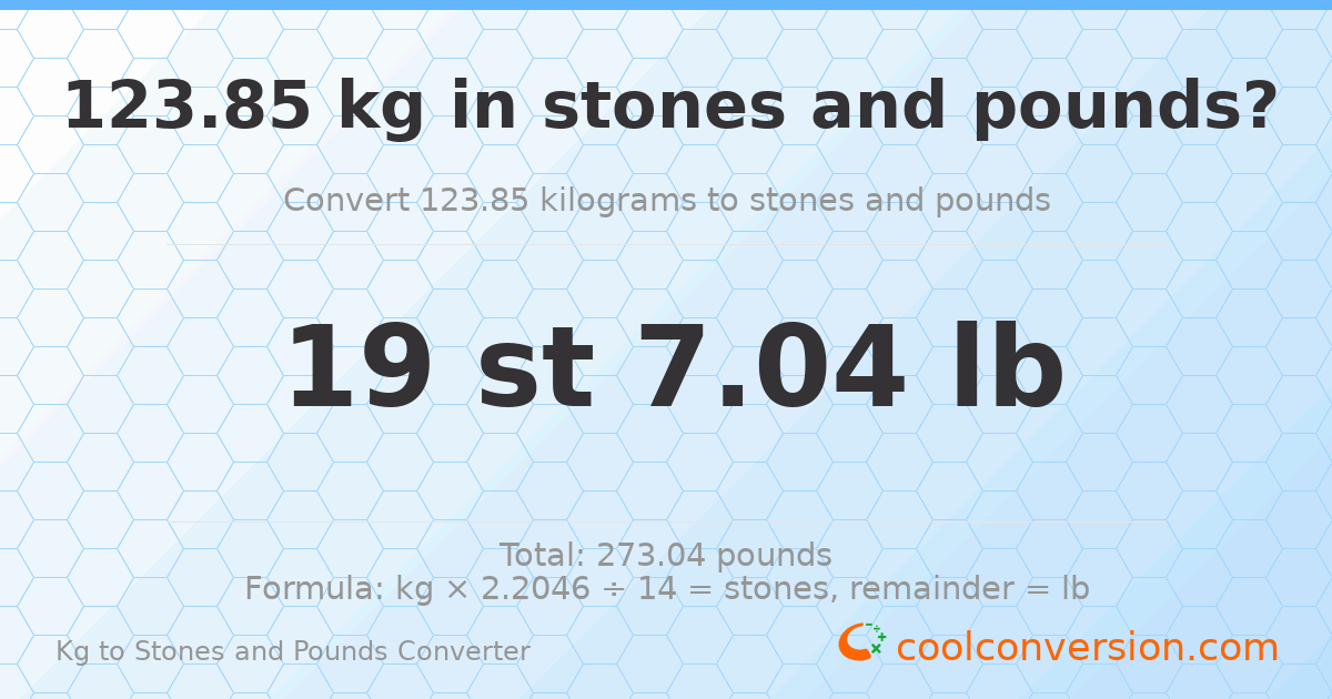 123.85 kg to stones and pounds — 123.85 kg = 19 st 7.04 lb