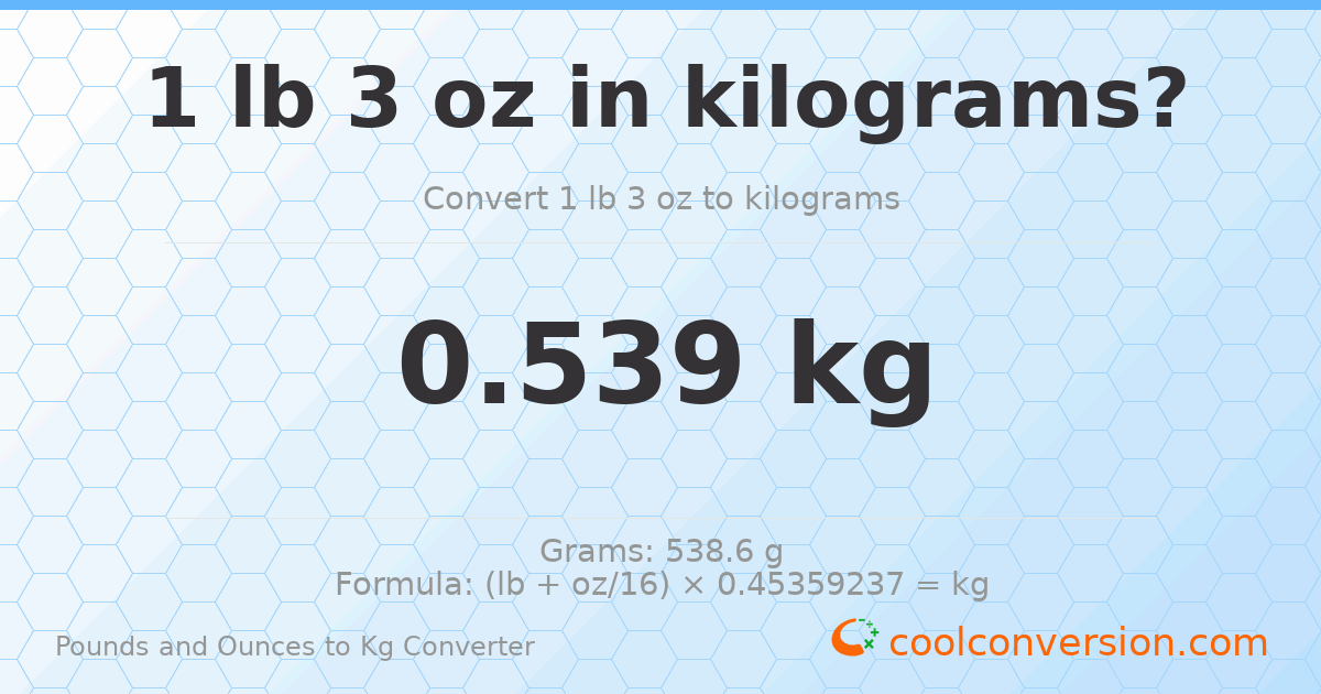 1 lb 3 oz to kg — 0.539 kg